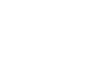Benz Logo Weiss