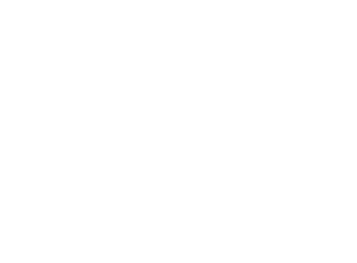 Porsche Arena Logo Weiss