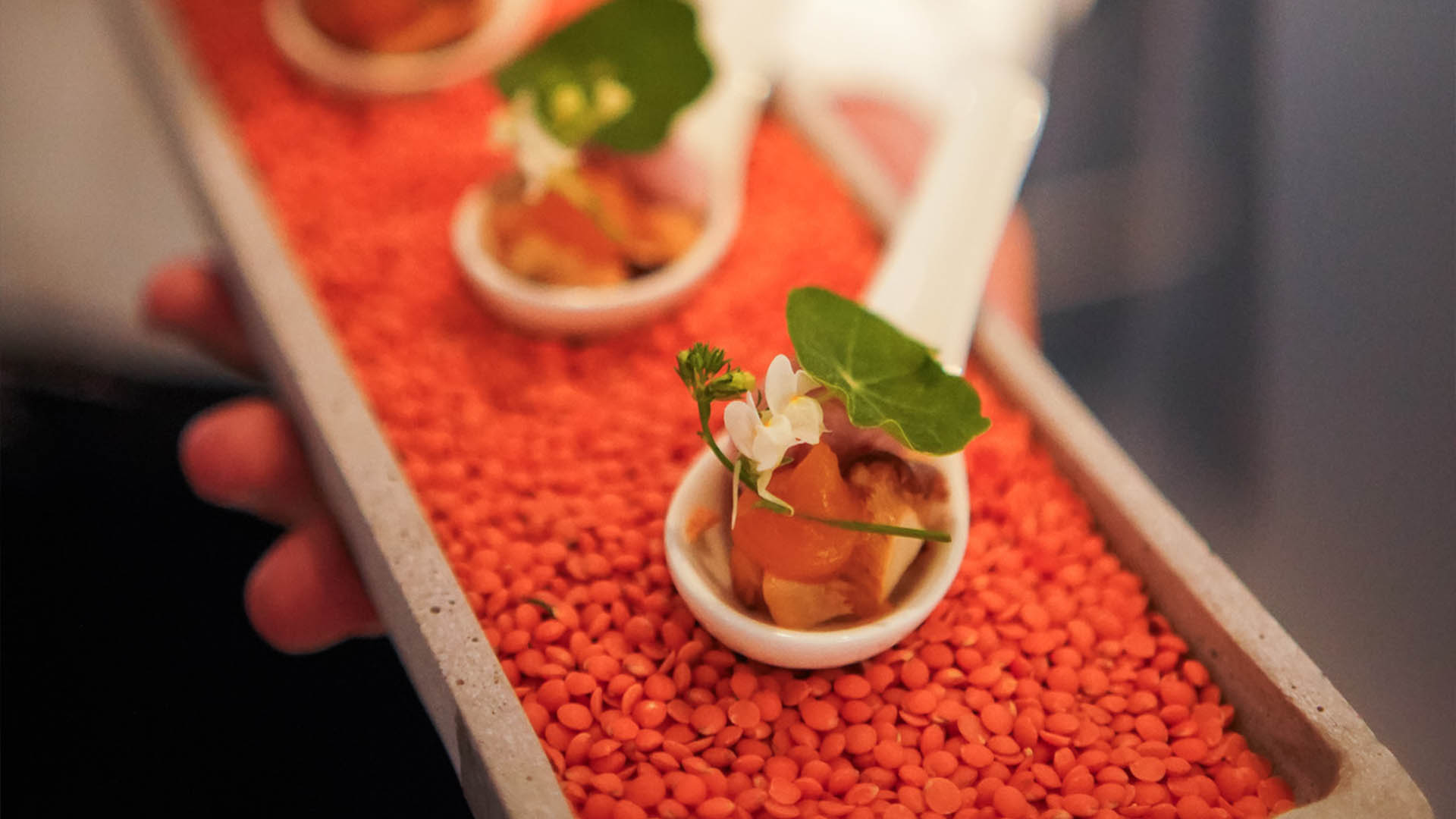 Catering Private Feiern 9 Fein angerichtetes Fingerfood von Benz Catering.