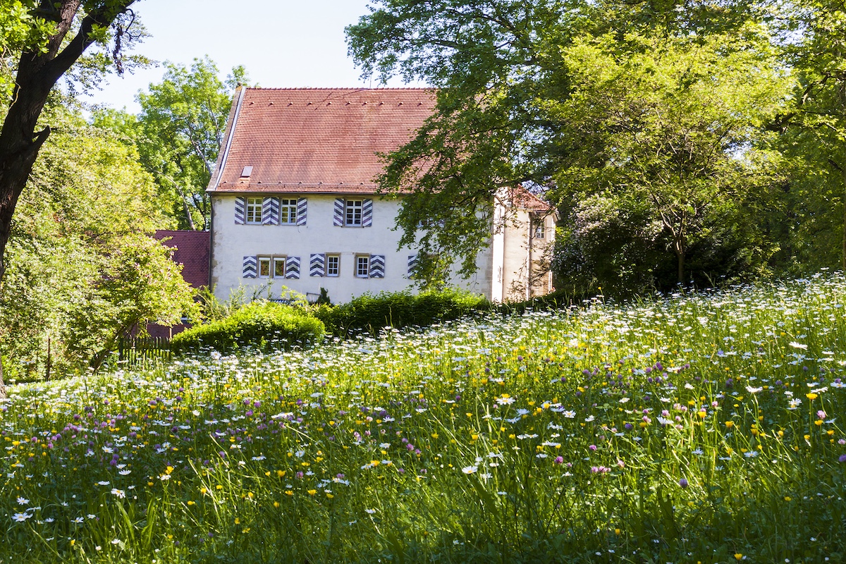 Blick auf die Burganlage Burg Schaubeck inmitten der Natur