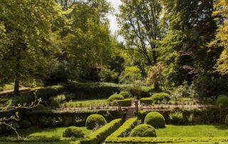 Rosengarten auf der Burganlage Burg Schaubeck