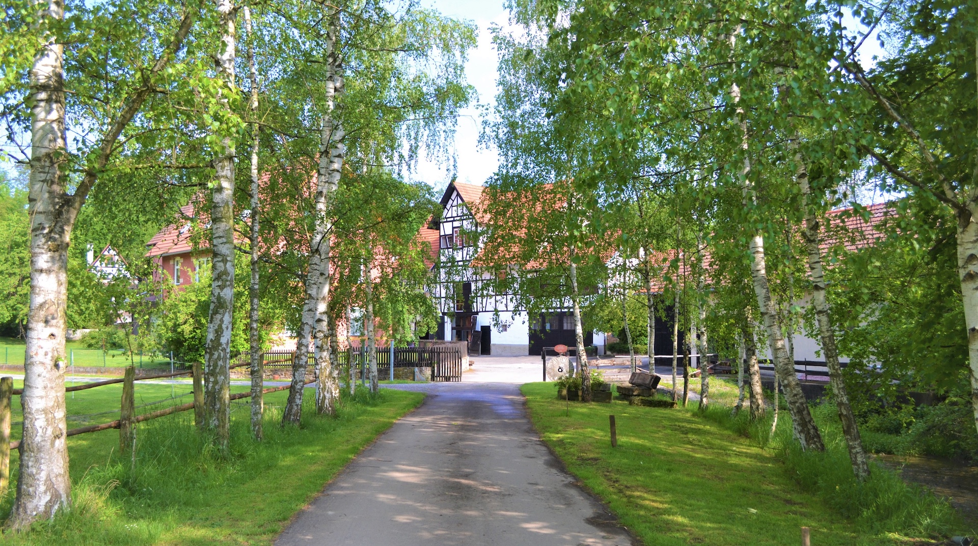 Man sieht eine Allee aus Birken, die zur Eventlocation Fleischmühle führt. Einem Fachwerkgebäude.
